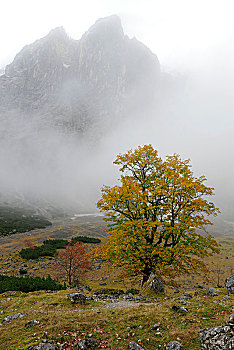 du doan xsmb thu 6