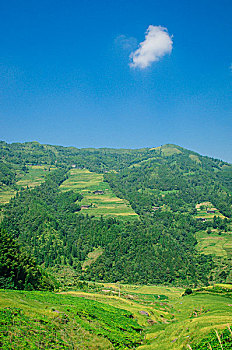 soi cau rong bach kim 2nhay