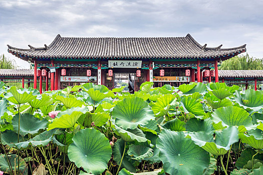 xem xổ số minh ngọc