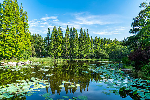 thống kê 3 càng