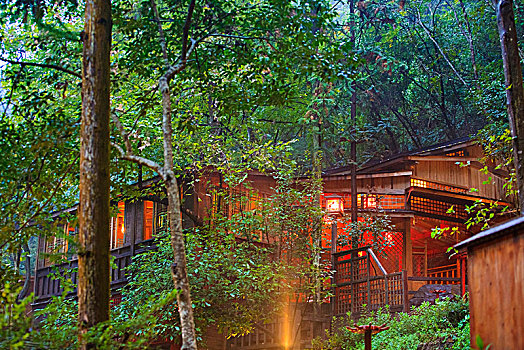 bach thu lo chuan
