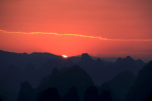 soi câu bạch kim