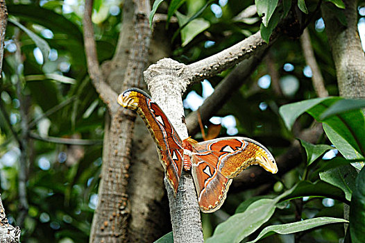 xổ số đài trung