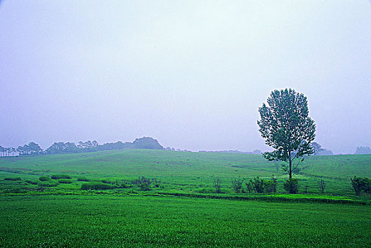 sx thu 7