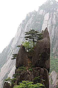 xổ số long an hàng tuần