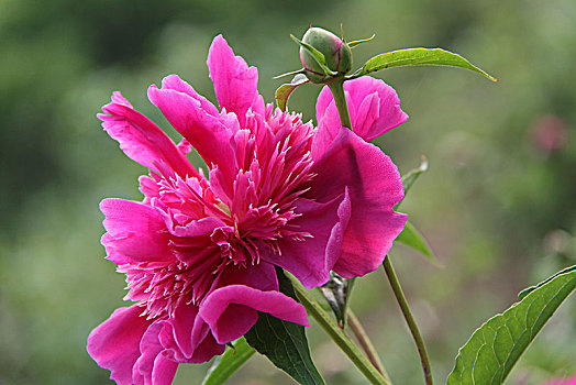 du doan xo so miền bắc