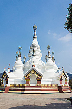 soi bạch thủ lô miền bắc