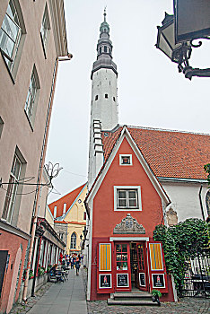 cau bach thu hom nay