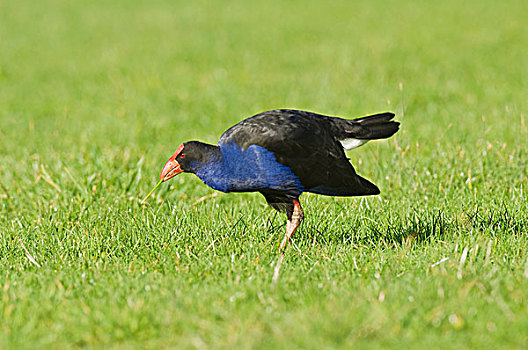 du doan xs 3 mien mien phi