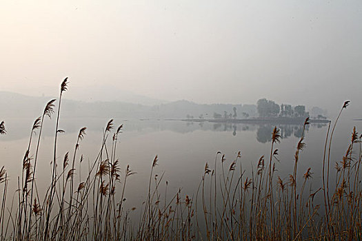 casino ở hàn quốc
