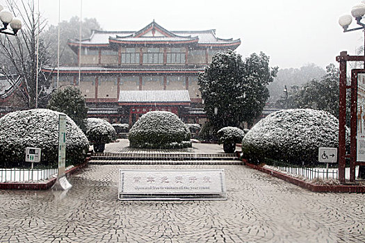du doan lo