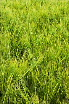 cách chơi lô miền nam