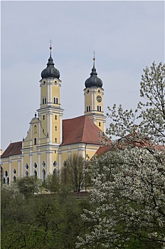 cau bach thu kep