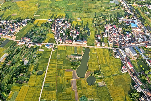 cách tính đánh lô xiên