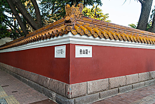 soi cầu rong bạch kim