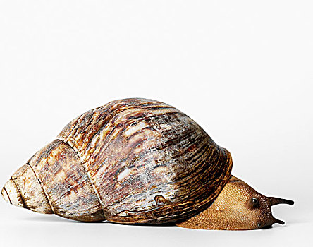 soi cầu 88 com