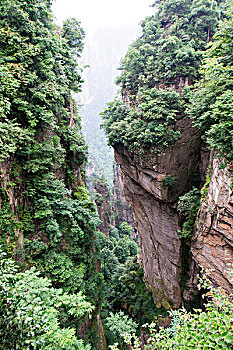 chốt số giờ vàng hôm nay