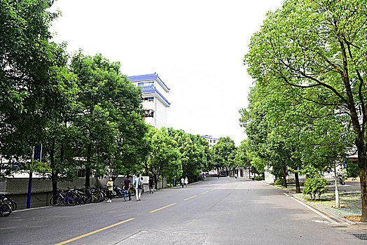 soi cau 29