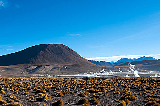 atrungroi