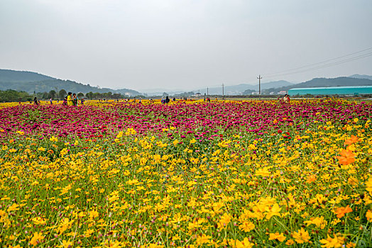 xosokienthiet