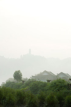 soi câu 247
