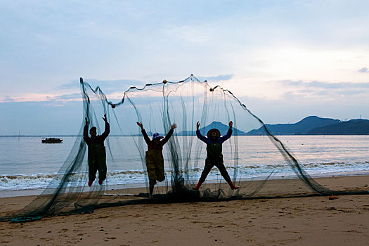 cầu bạch thủ miền bắc