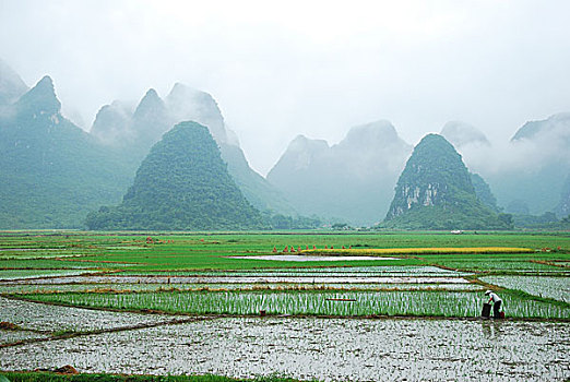 du doan xo so minh ngoc