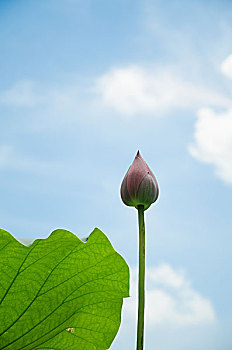 soi cầu miễn phí miền bắc hôm nay