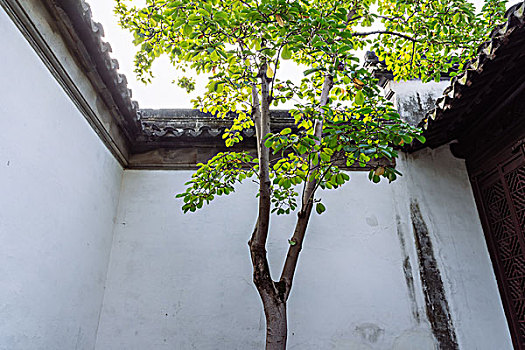 soi cầu 6666