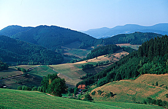 lô bach thu hom nay