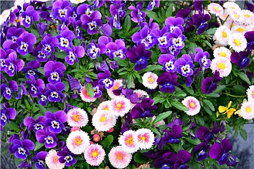xổ số thứ bảy hàng tuần