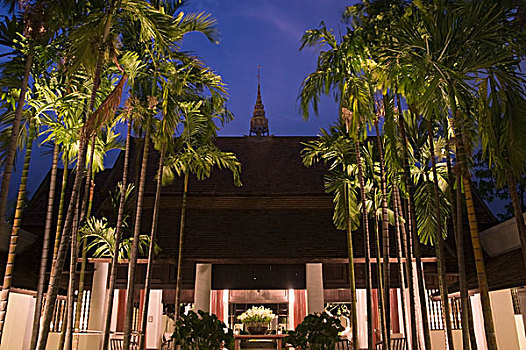 cau bach thu de