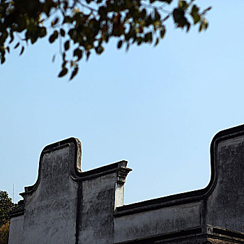 soi cau tp 3s
