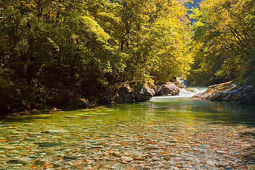 bach thu khung 5 ngay