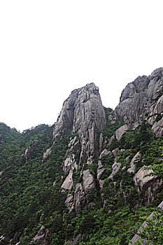 bạch thủ đề hôm nay con gì