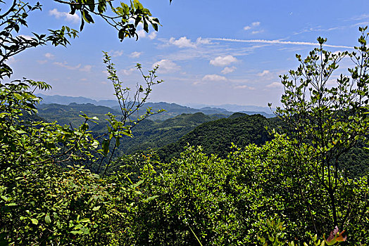 soi cau 888 mb