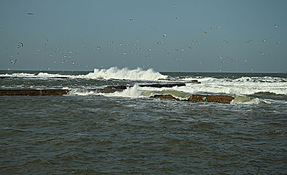 lo kep bach thu khung 3 ngay