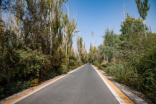 lo bach thu khung 3