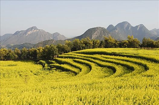 kết quả xổ số trực tiếp