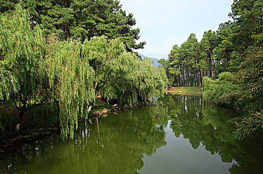 du doan than tai mn