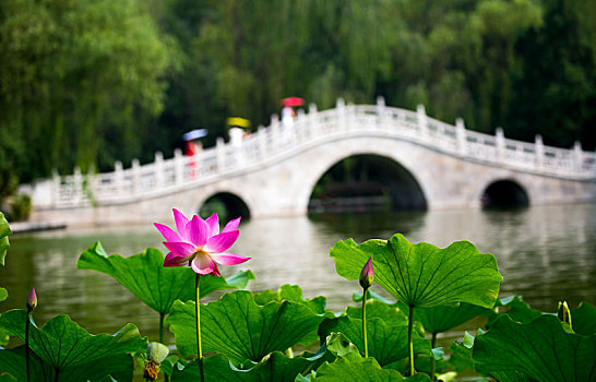 xổ số miền bắc 30 ngày qua