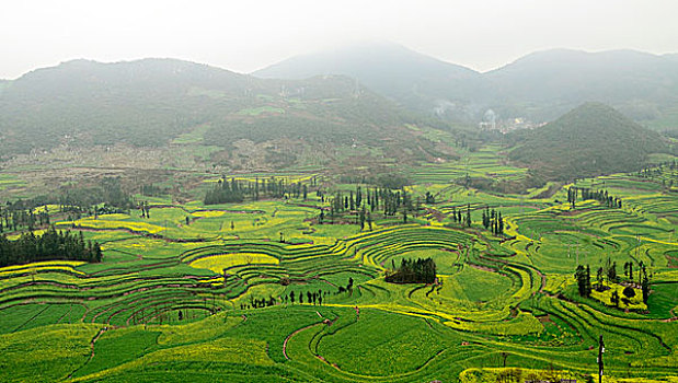 soi cau rong bach kim mb