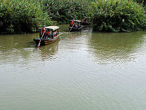 soi cau bach thu 8888
