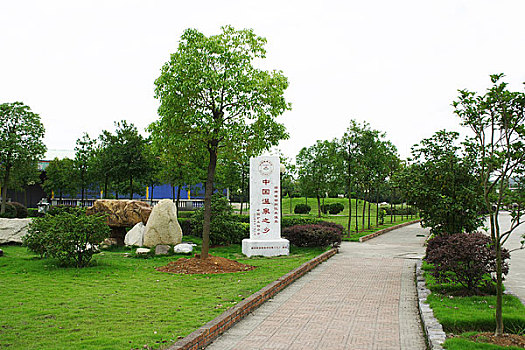 soi cau 24 gio mien phi