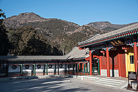 những trận đá gà đòn hay nhất