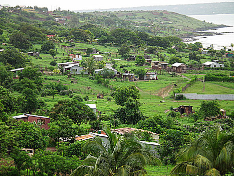 soicâu888