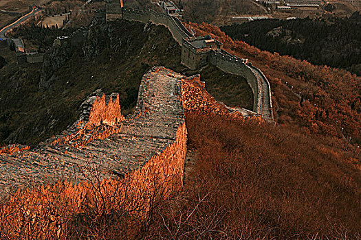 rong bach kim mien bac