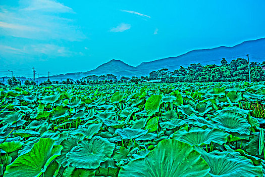 du doan xo so mien nam minh ngoc