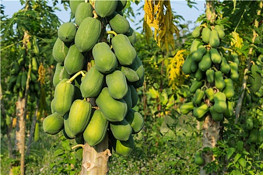 xổ số thứ ba tuần rồi