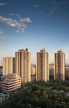 soi cau lo hom nay